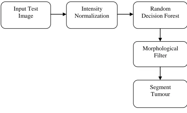 Figure.3 Block diagram of Segmentation process 