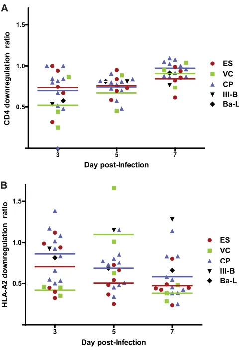 FIG 3 Downregulation of CD4 and HLA-A2 in primary CD4itive and CD4 low. The horizontal lines represent the median level of down-regulation for each group of patients