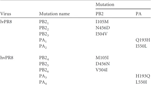 TABLE 1 Mutations in PB2 and PA of hvPR8 and lvPR8 implicated inRNAP II degradation