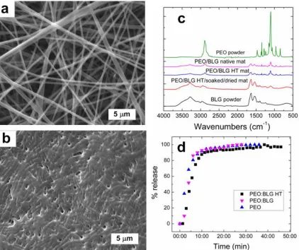 Figure 2.11.  PEO:BLG (50:50 BLG:PEO for total 8 w/w%) blend fiber mat (a) post heat  treatment at 100 °C for 18 hrs, (b) post heat treatment then after soaking in water and air drying, (c) FTIR comparison between native, heat treated, heat treated/immerse