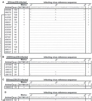 FIG 3 The Gag Ainfected rhesus macaques (threeinfected rhesus macaque. (D) OneMamu-A1*001:01312P mutation stabilizes the compensatory mutations Gag I161V and I206V