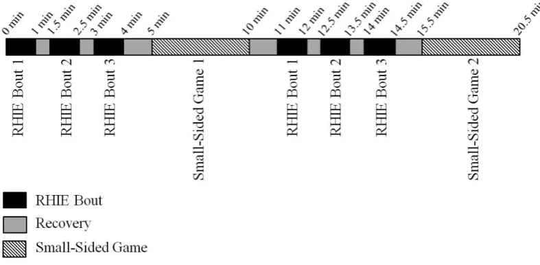 Figure 1. A schematic representation of the experimental protocol.   