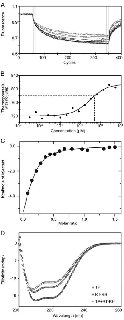 FIG 8 Binding studies of TPtheagainst a stock ofTPcence data for the raw MST signal acquired for each titration point