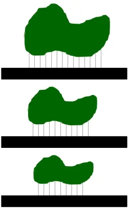 Figure 1.5. Schematic illustration depicting the interaction of protein molecules of varying sizes with a surface