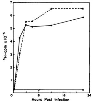 FIG.1.for0,duringinfectedindicated,1.5VV VV-infected Accumulation of thymidine kinase activity VV infection