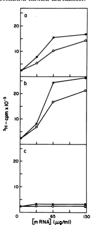 FIG. 4.hydroxyurea.responsemRNAtionsexperimentslysatesafterwithafterassayedtranslation.(a) Cell-free synthesis of thymidine kinase in to VV mRNA preparations