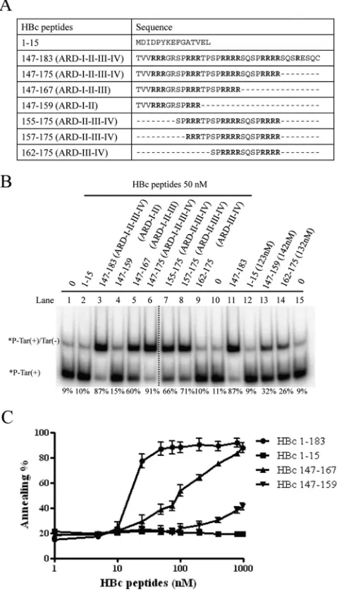 Fig. 9B, core-associated HBV DNA synthesis was drastically