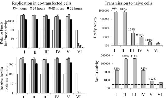 FIG 9 trans-Complementation of defective virion assembly by cotransfection with replicon RNA