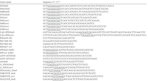 TABLE 1 Primers used to generate viral constructs