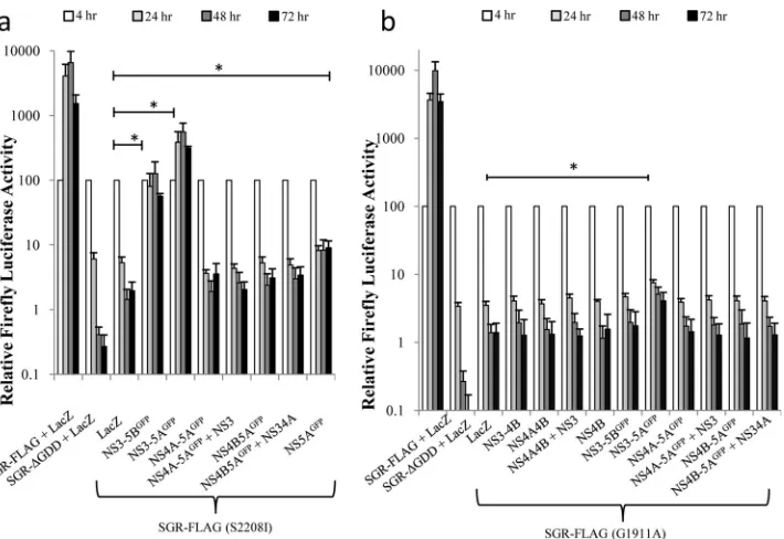 FIG 3 trans-Complementation of defective HCV RNA. Huh7.5 cells were transduced with baculoviruses expressing the indicated HCV NS proteins or LacZ for4 h, incubated for a further 2 h, and then transfected with SGR-FLAG (S2208I) (a) and SGR-FLAG (G1911A) (b