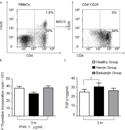 Figure 3. Similar proliferative activity of CD25high depleted CD4+ T cells from healthy controls, heroin control and Baduanjin exerciser heroins