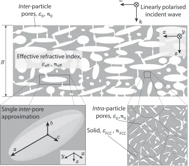 Figure 1. Schematic of the tablet exposed to a linearly polarized terahertz wave.refractive index of the skeletal material of an FCC particle are de k is the unit vector in the direction of propagation of the horizontally (parallel to the y-axis) linear-po