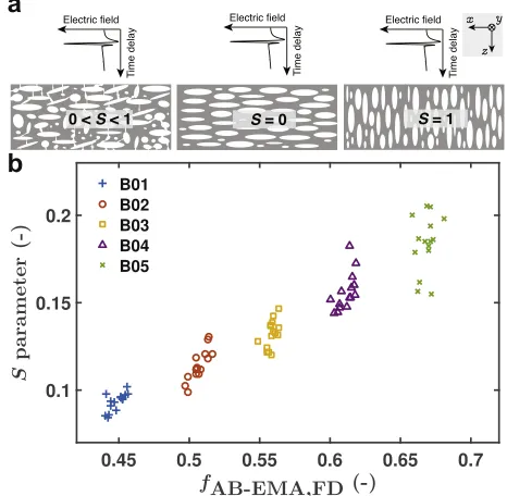 Figure 5. (a) Schematic for the interpretation of theFD analysis.function of porosity