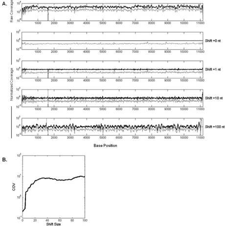 FIG 2 Normalization by P0 coverage reduces variability. P1 coverage values are divided into P0 coverages at the corresponding positions shifted by an offset