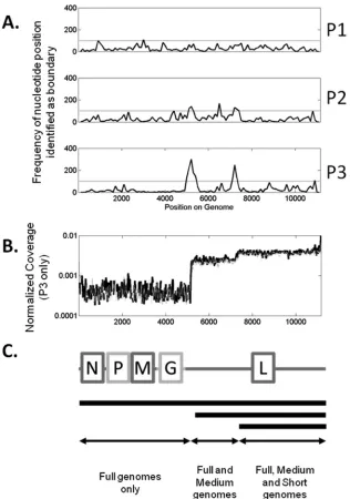 FIG 3 Determination of plateau boundaries and population fractions. (A) Frequency data showing bases recorded as boundaries using the algorithm describedin Materials and Methods