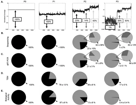 FIG 4 Genome deletion mutant detected by de novo alignment has complementary ends and similarity to full-length virus