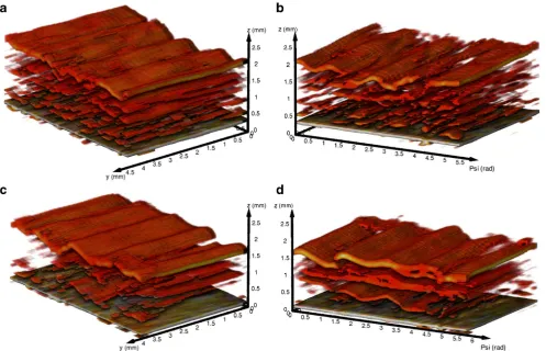 Fig. 7 3D TPI data of (shell interface. Coordinate system: Psi is the azimuth angle in accordance to a cylindrical coordinate system; y corresponds to the vertical position on the cylindricala,b) empty PVA shells (sample S01) and (c,d) empty PLA shells (sa
