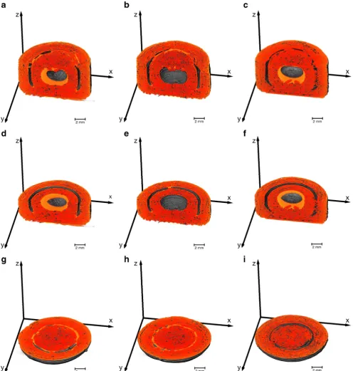 Fig. 9 Subvolumes of the two-compartmental geometries filled with silicon oil generated from the Xwhich is visible in the outer and inner compartment (sample S07) in (μCT data
