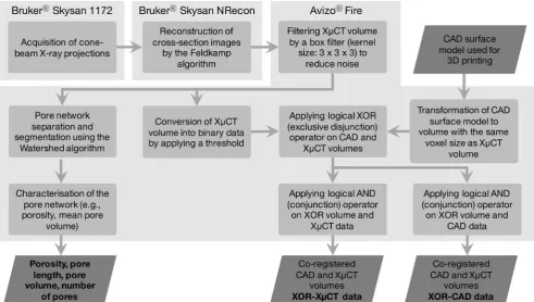 Fig. 2 Overview of the XμCT data processing. Each rectangular block represents one single processing unit and the rhombus shaped blocks correspond to inputor output data.