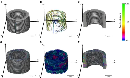Fig. 4 Visualisation of Xpositions as denoted in (μCT data of sample S03 (cylindrical PVA shell filled with CBZ)
