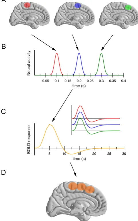 Fig. 1. Schematic representation of the interaction between temporal and spatial resolu-tions in brain imaging studies, for example fMRI