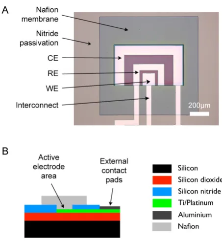 Fig. 6. Test electrode design and fabrication. A: Example image of fabricatedtest electrodes