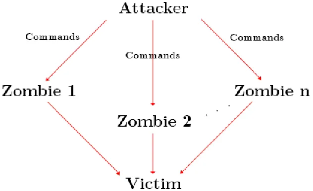 Figure 3.1: DDoS Attack Structure 