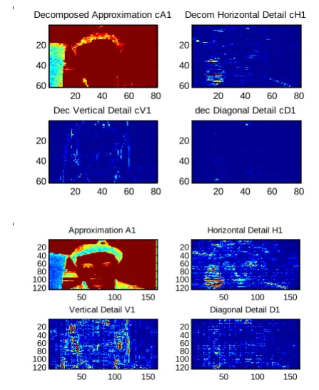Figure(c). Image preprocessing using extended    pseudo color of Db2 wavelet transform 