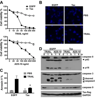 FIG 2 Tax suppresses TRAIL-induced apoptosis in U251 astroglioma cells. U251 cells were infected with LV-EGFP or LV-Tax (MOI � 3) for 4 days and thentreated with recombinant soluble TRAIL or the anti-DR5 agonistic monoclonal antibody AD5-10 at the indicate