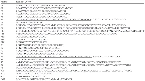 FIG 1 Viruses used to examine the effect of mtDNA depletion on HSV-1 replication. Schematics of themethionine codons ofused in this study are shown