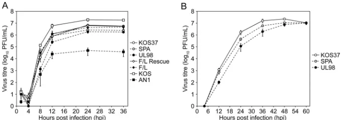 FIG 4 Replication of HSV-1 isolates used in this study. (A) Single-step growth curves were performed in Vero cells infected at a multiplicity of infection (MOI)of ﬁve with the indicated viruses and harvested at 1.5, 4, 8, 12, 24, and 36 h postinfection