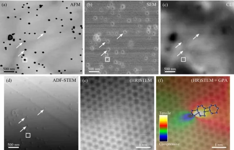 FIG. 1. AFM (a), SEM (b), panchromatic CL (c), and ADF-STEM (d) performed on the same