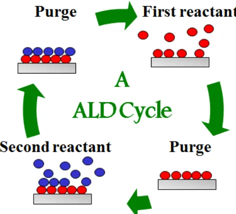 Figure 1.4  A schematic of one atomic layer deposition cycle with two reactant steps (red and blue) and two purge steps