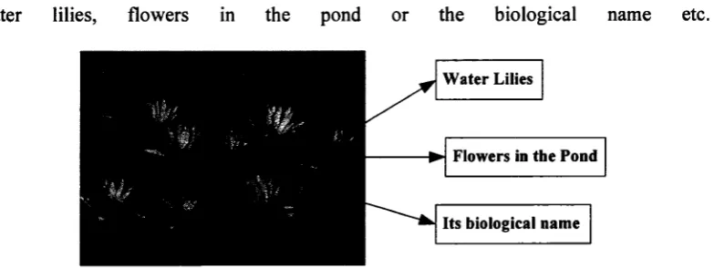Figure 1.1: An example of text-based image search method 