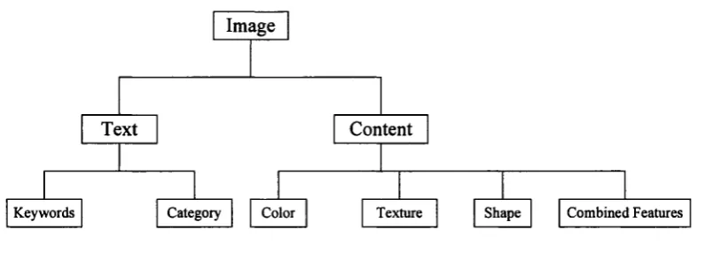 Figure 1.2: Image Description using Text and Content information