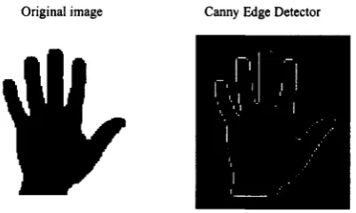 Figure 4.2 An Example for detecting edges by Canny Edge Detector