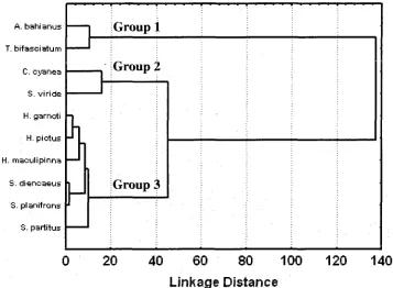 Figure 2.2: Cluster-tree defining membership of species to 3 distinct groups as 