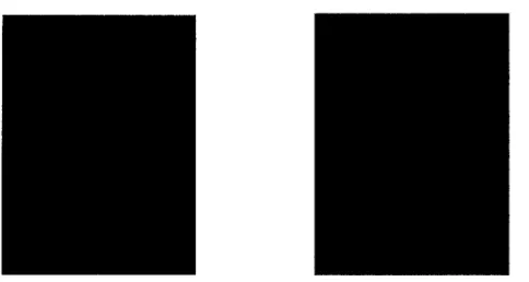 Fig. 4. The two different images above have the same color histogram. We can