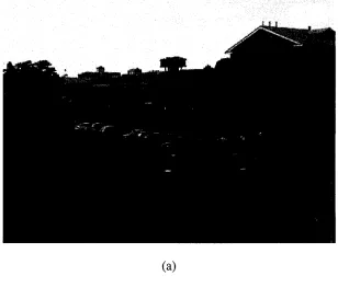 Fig. 6 shows the result of our motion detection method. Morphological operations 