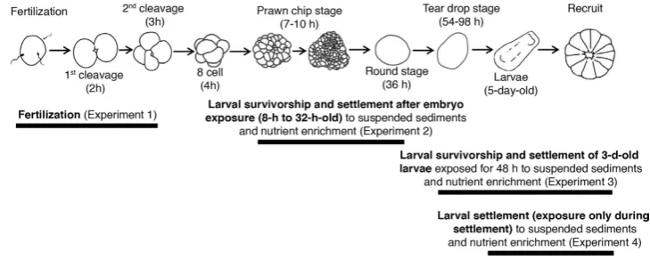 Figure 5. Experiments performed with early life history stages of stages involved in each experiment (modified from Jones medium, high), or (Acropora tenuis exposed to suspended sediments (SS: 0, 5, 10, 30 or 100 mg l−1) in combination with either (a) a nu