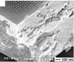 Figure 1-8. 3D nanostructures by colloidal particle self-assembly [45]. 