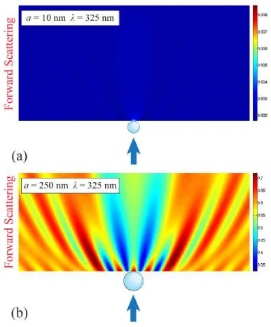 Figure 2-5. (a) Rayleigh intensity pattern for single particle with 10 nm radius and 325 nm 
