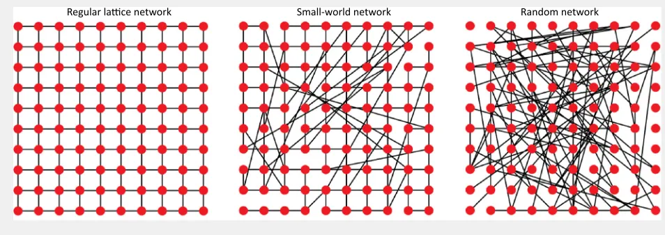 Figure I. Network Structures. Schematic illustration of regular (left), small-world (middle), and random (right) networks