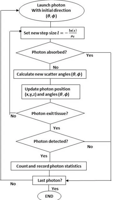 Figure 1. Flow chart for Monte Carlo model for light propagation through a  single tissue layer