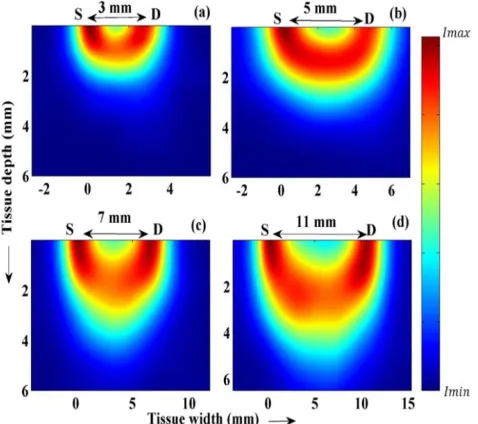 Figure 3. Difference in optical paths of photon packets for variable source-to-detector distances is shown