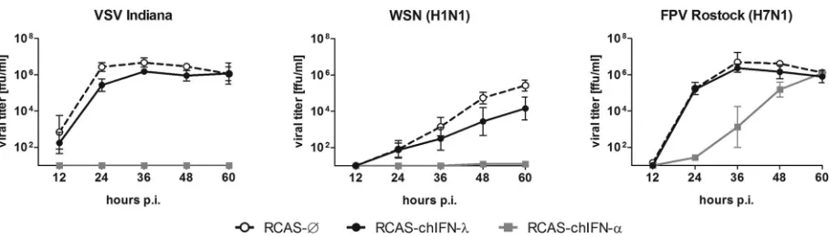 FIG 1 DF-1 cells transgenically expressing chIFN-an MOI of 0.001, and viral titers in the supernatants were determined at the indicated time points