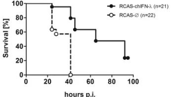 FIG 2 Embryonated chicken eggs transgenically expressing chIFN-infecting the eggs with empty RCAS vector (RCAS-Ø) or RCAS expressing chIFN-performed by inoculating 10� exhibit a high degree of virus resistance