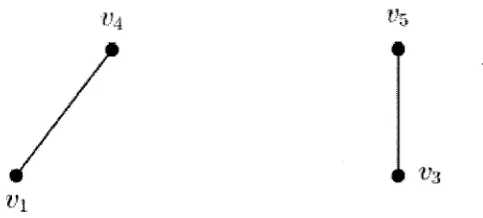 Figure 2.1: An example of cut-vertex (articulation point) v2.