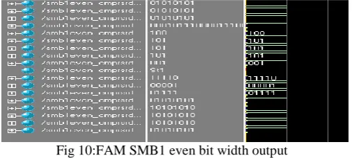 Fig 10:FAM SMB1 even bit width output  