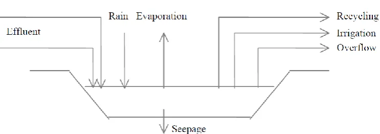 Figure 3.2 - Schematic of Pond Inputs and Outputs (Casey, Atenzi, 1998) 